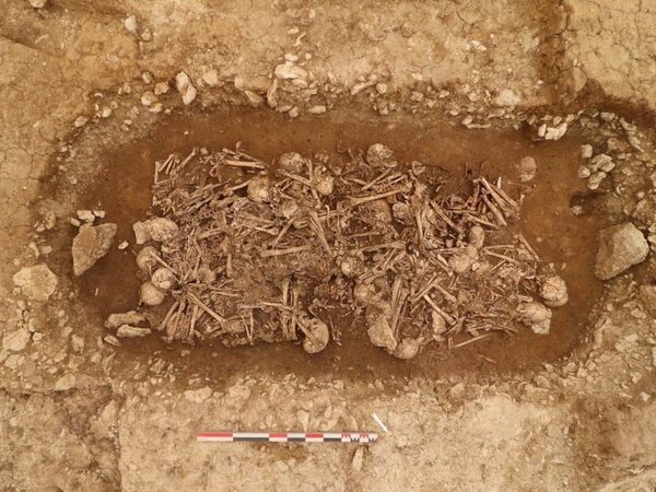 Массовое захоронение времен позднего неолита нашли во Франции