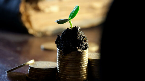 Эксперты рассказали, как вывести финансовую пирамиду на чистую воду