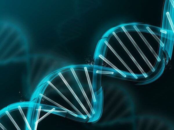 Предложен новый способ невирусной доставки ДНК в клетки