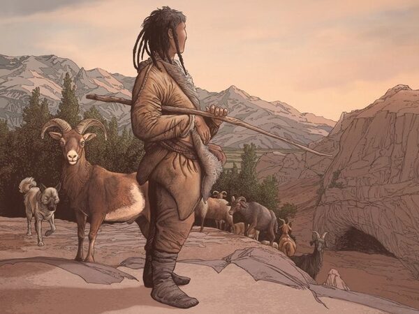 Уже 8 тысяч лет назад в Средней Азии имелись домашние овцы и козы