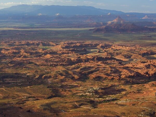 Палеонтологи США надеются, что президент Байден восстановит охраняемые территории с уникальными окаменелостями