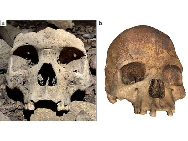 Более 500 лет назад знатные жители Западной Африки выбивали себе передние зубы