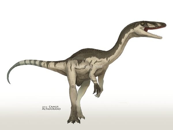 Двуногие динозавры покачивали хвостом при ходьбе