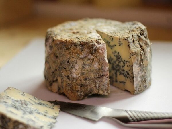 2700 лет назад жители Европы ели сыр с плесенью и запивали пивом