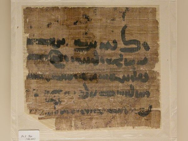 В Пермском университете обнаружили папирус на пехлевийском языке