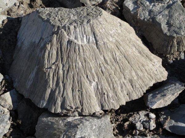 Геомагнитное исследование поможет найти места падения древних метеоритов