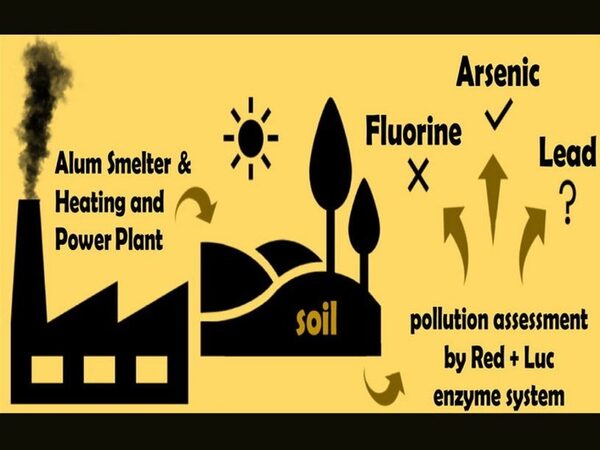 Определить уровень загрязненности почвы можно с помощью ферментов светящихся бактерий
