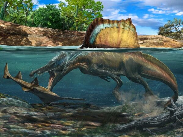 Спинозавры охотились под водой