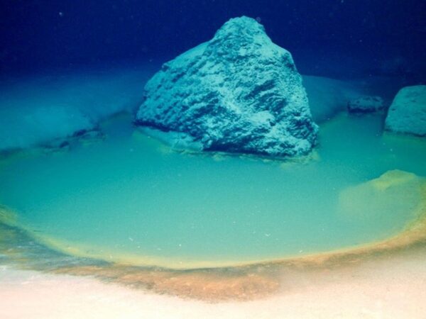 В Красном море открыты четыре подводных сверхсоленых озера