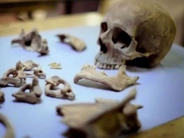 Найденные в средневековом колодце кости принадлежали жертвам еврейского погрома